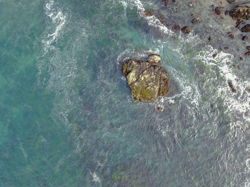 Photo from “Aerial”