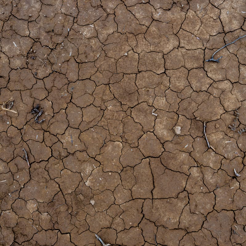 Photo from “Big Bend National Park”
