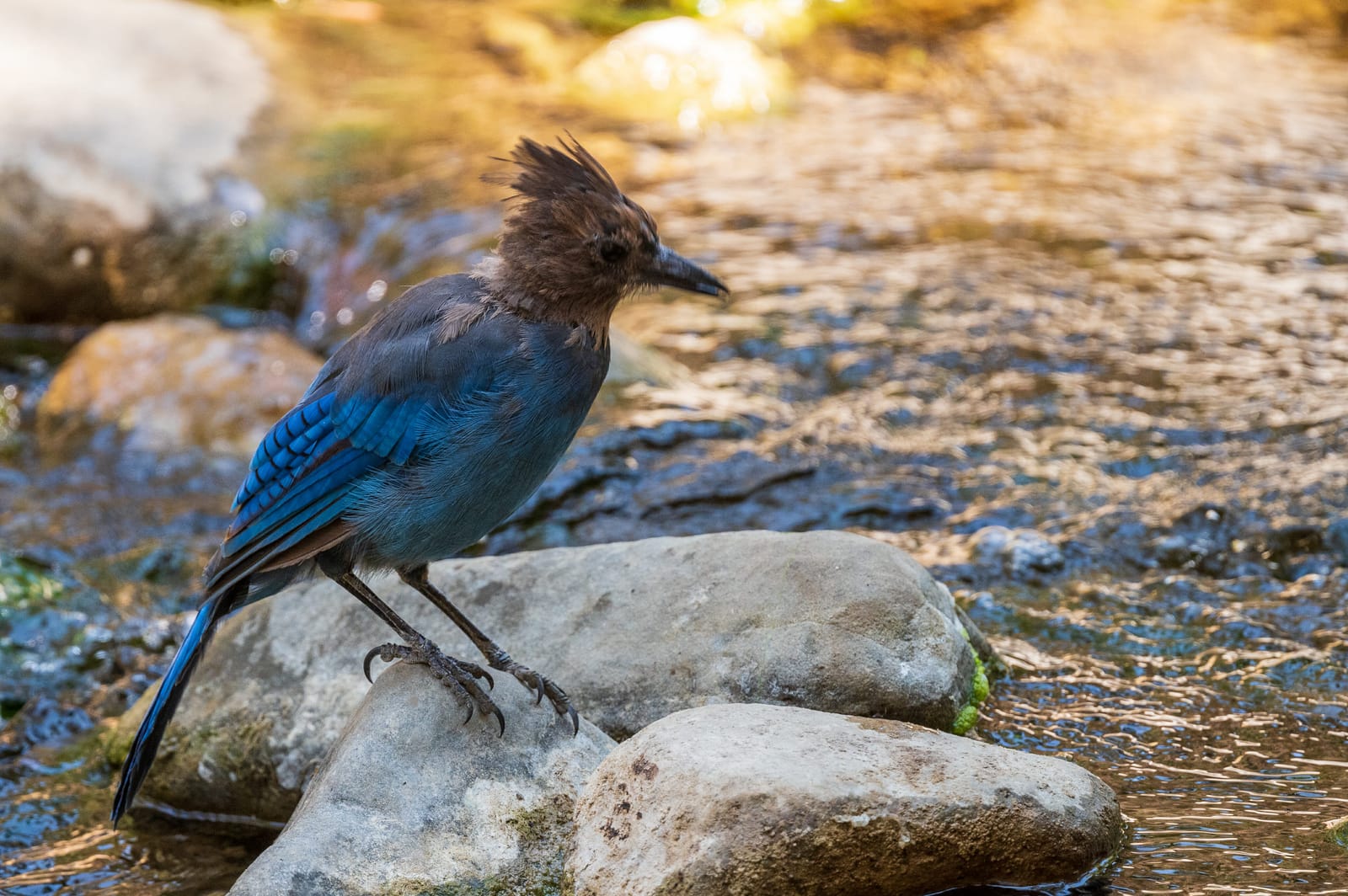 Photo from “Birds”