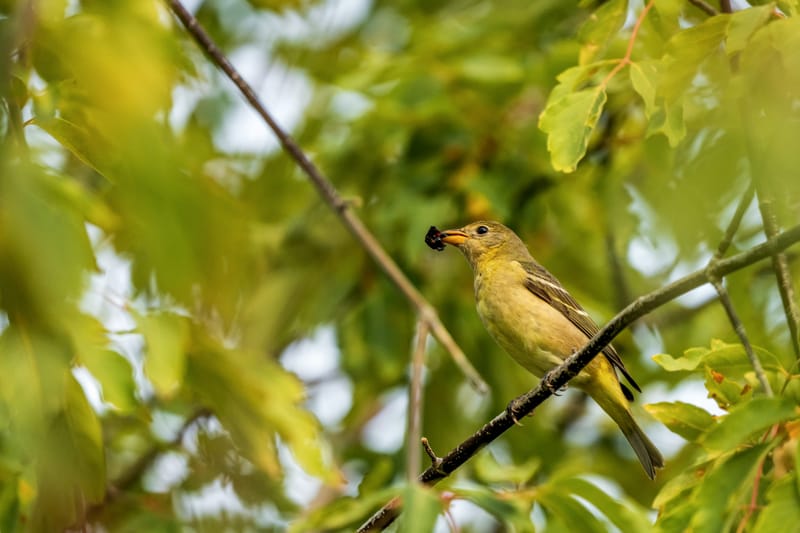 Photo from “Birds”