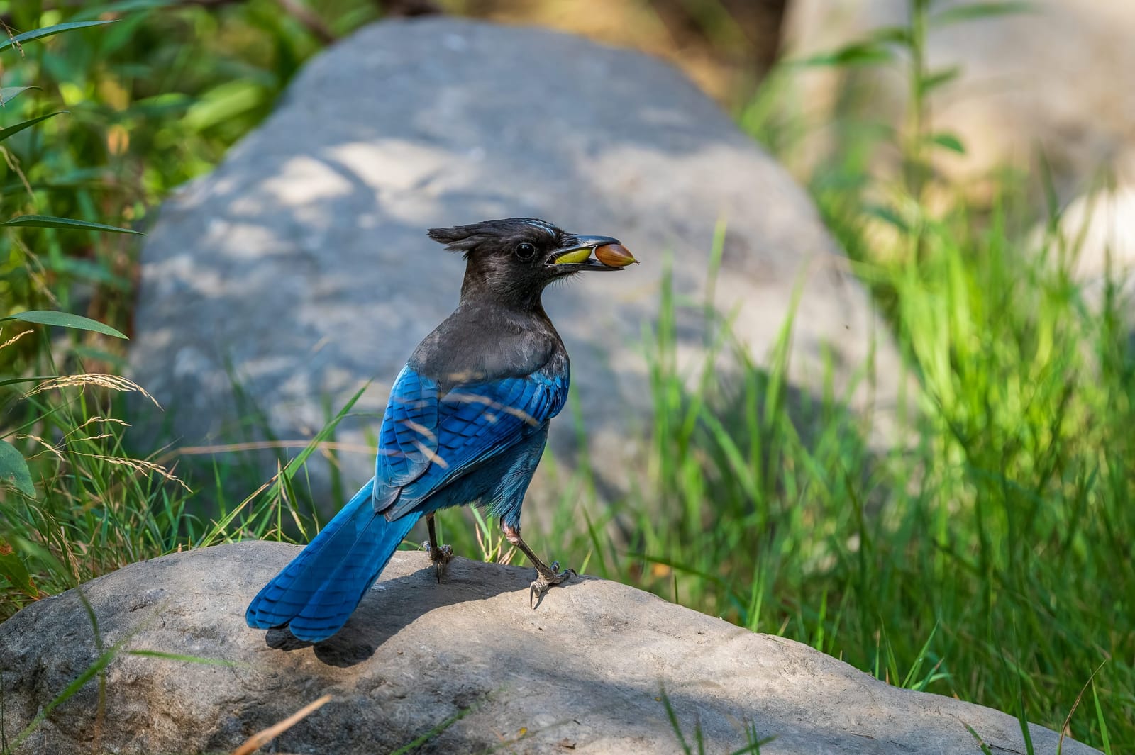 Photo from “Birds”