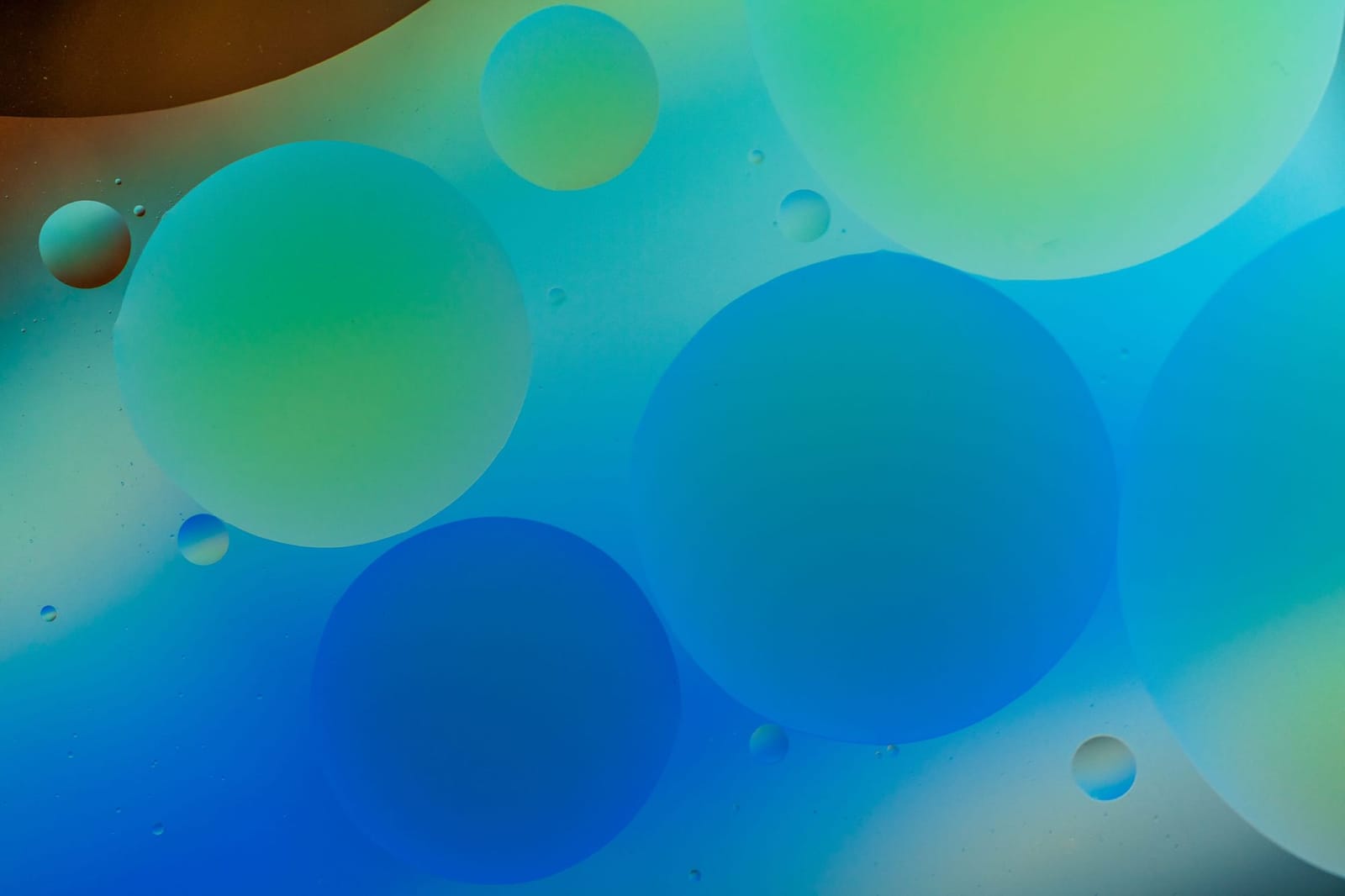 Photo from “Bubbles”