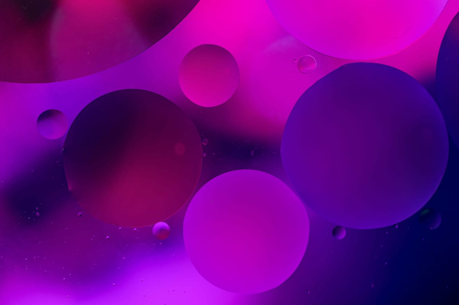 Photo from “Bubbles”