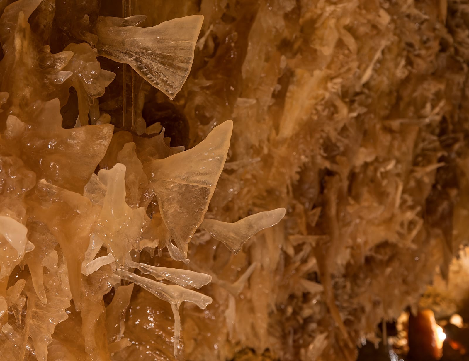 Photo from “Caverns of Sonora”