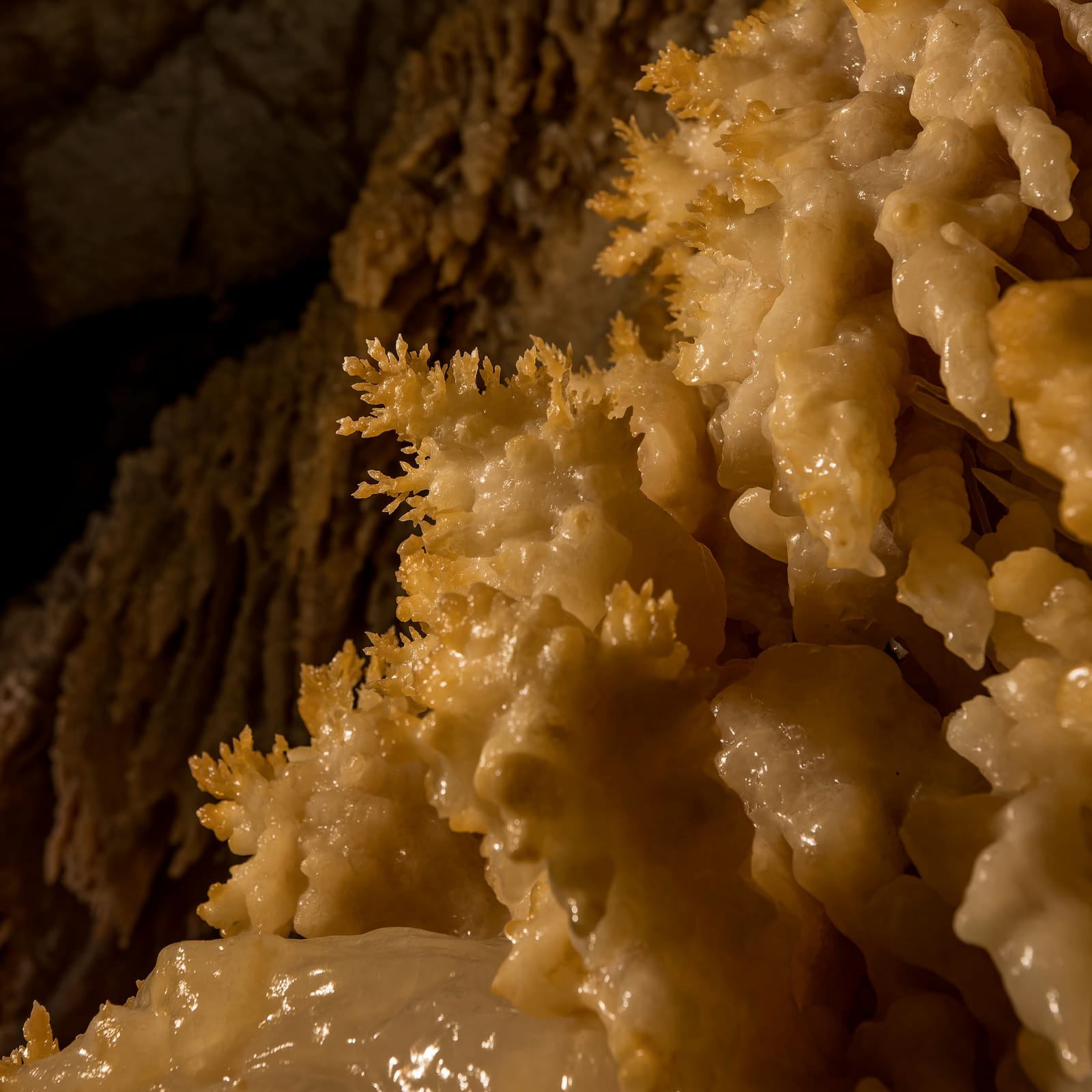 Photo from “Caverns of Sonora”