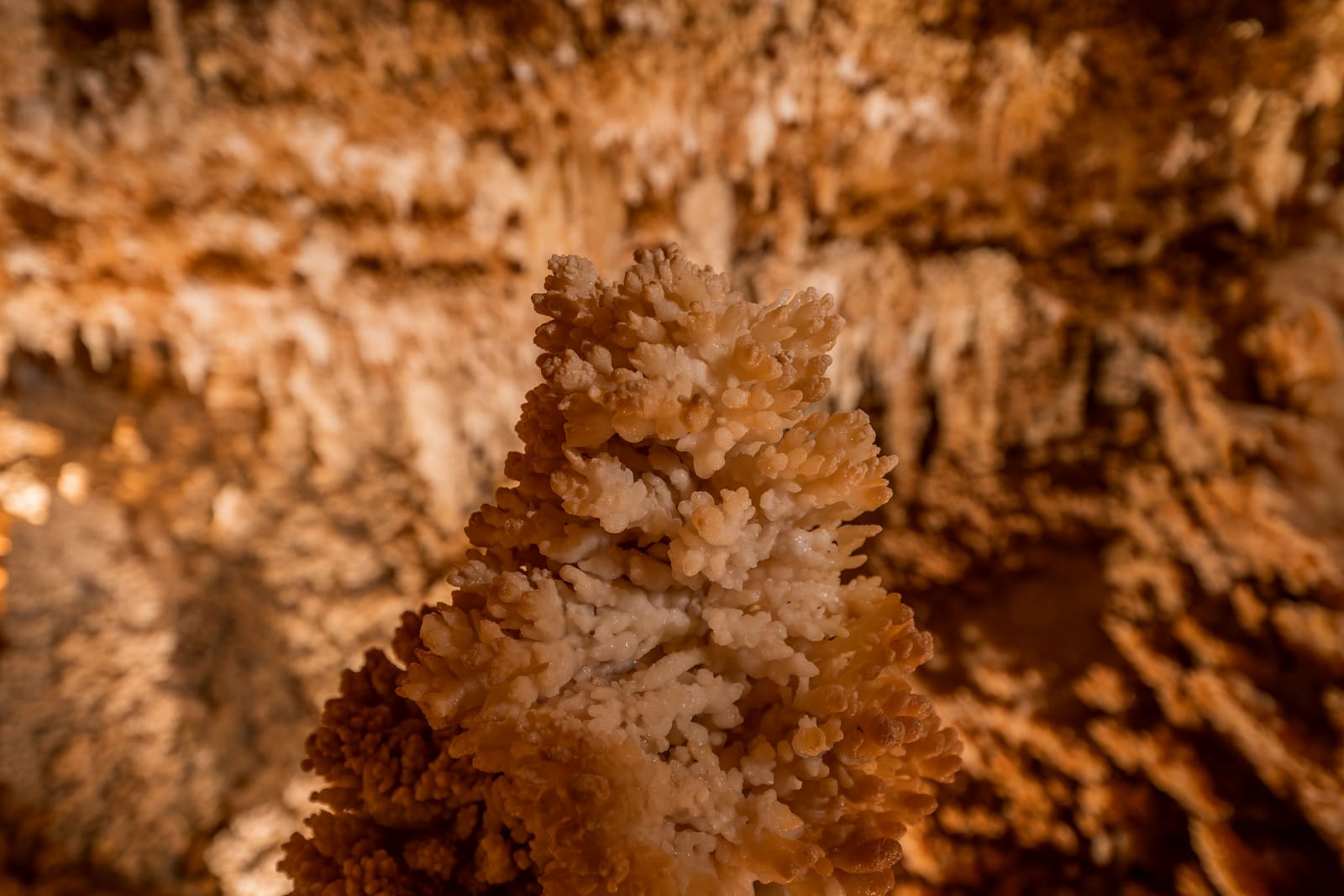Photo from “Caverns of Sonora”