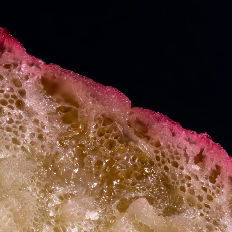 Photo from “Close-up”