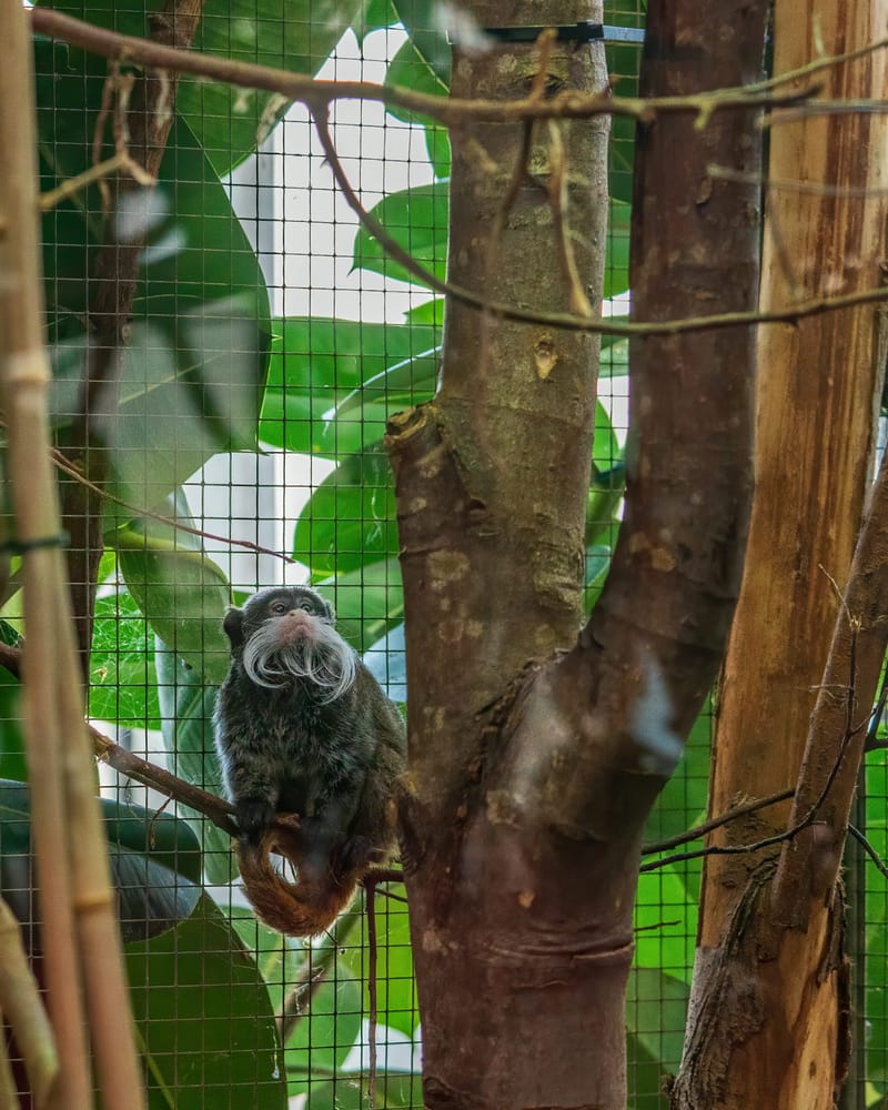 Photo from “Copenhagen Zoo”