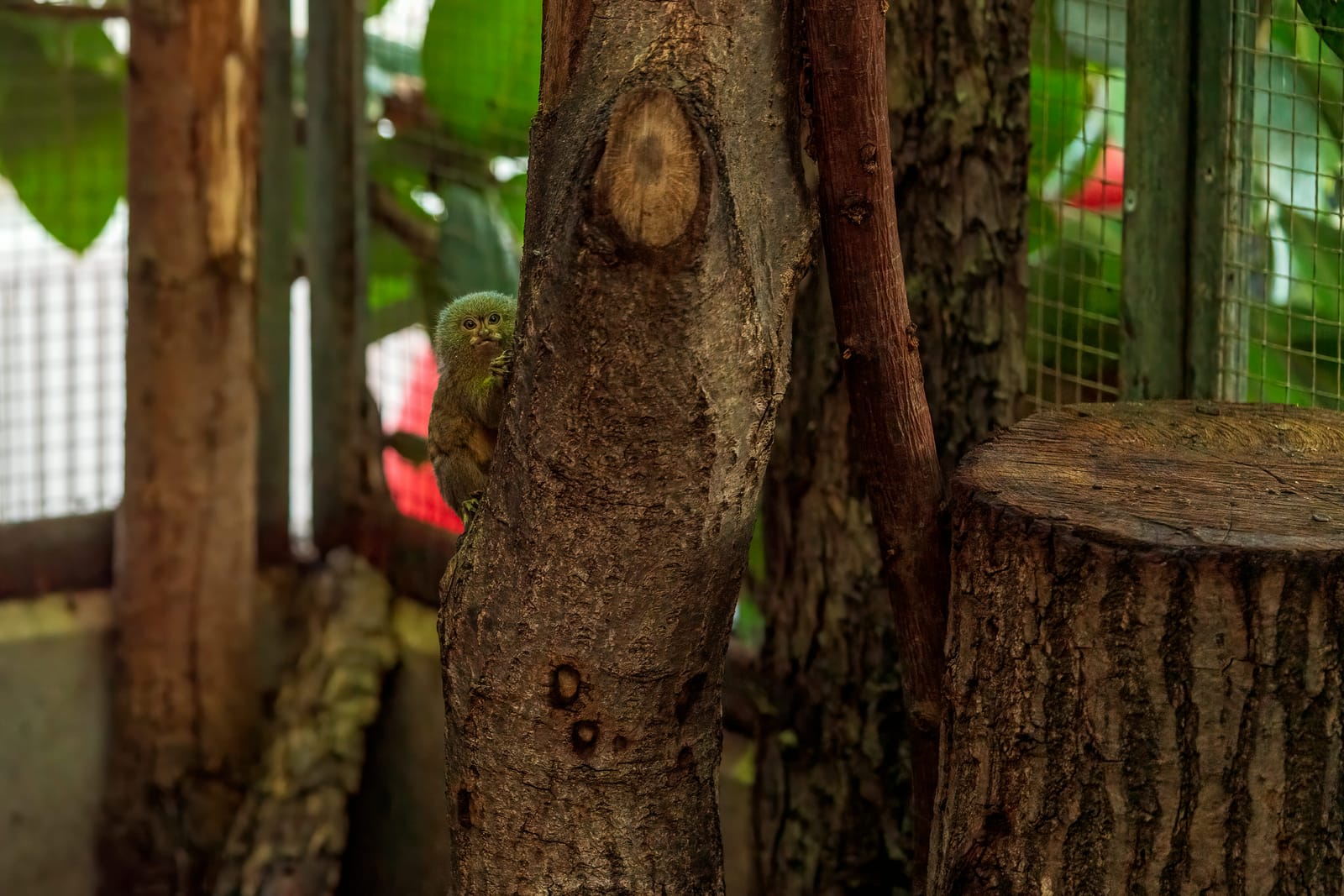 Photo from “Copenhagen Zoo”