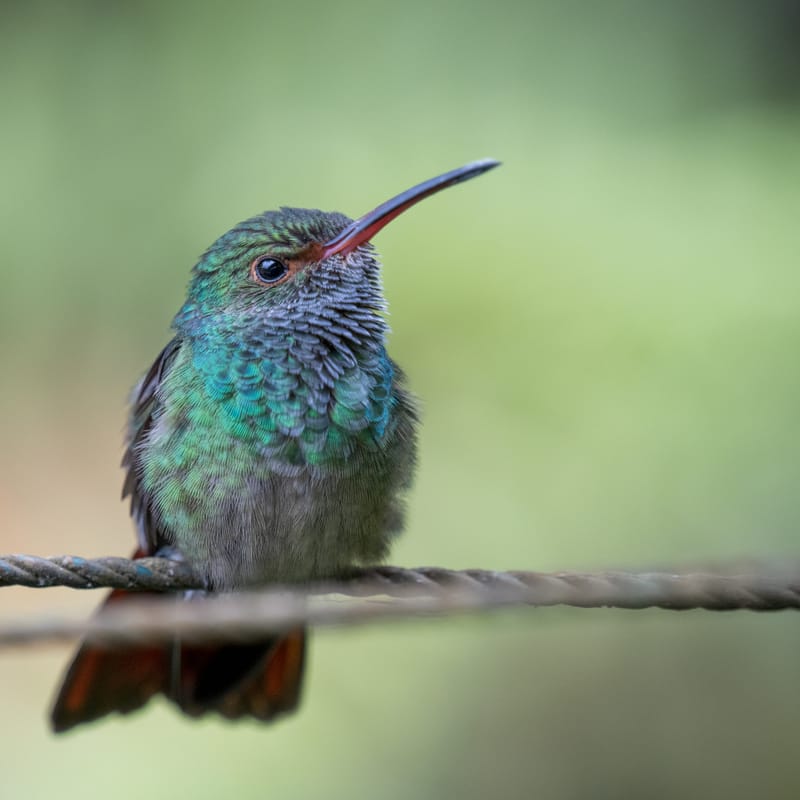 Photo from “Costa Rica”