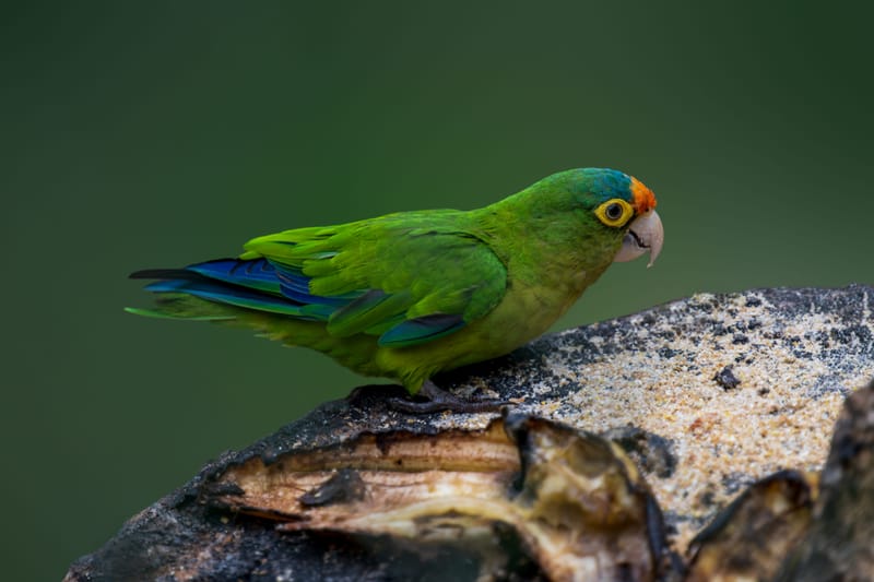 Photo from “Costa Rica”