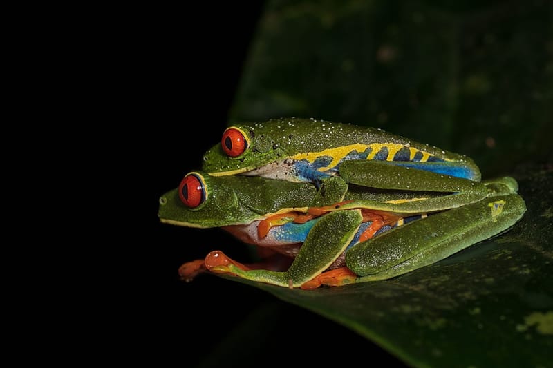 Photo from “Costa Rica”