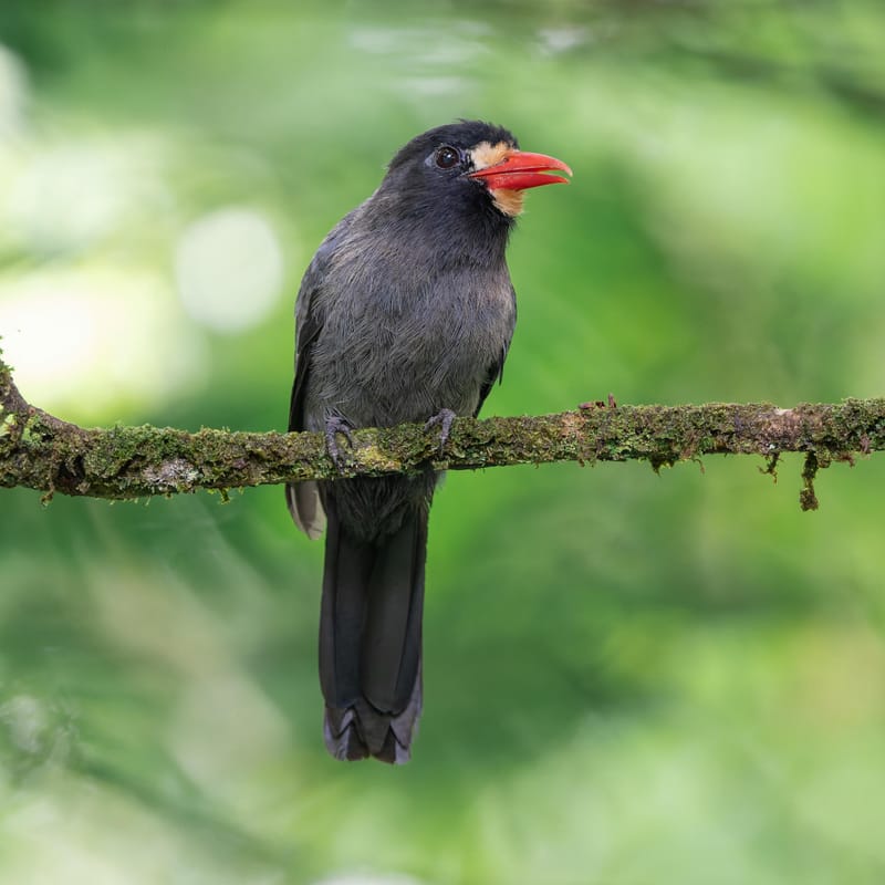 Photo from “Costa Rica - June”