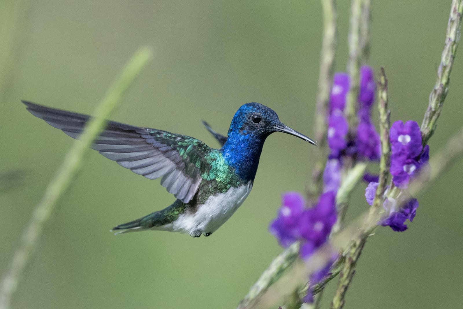 Photo from “Costa Rica - June”