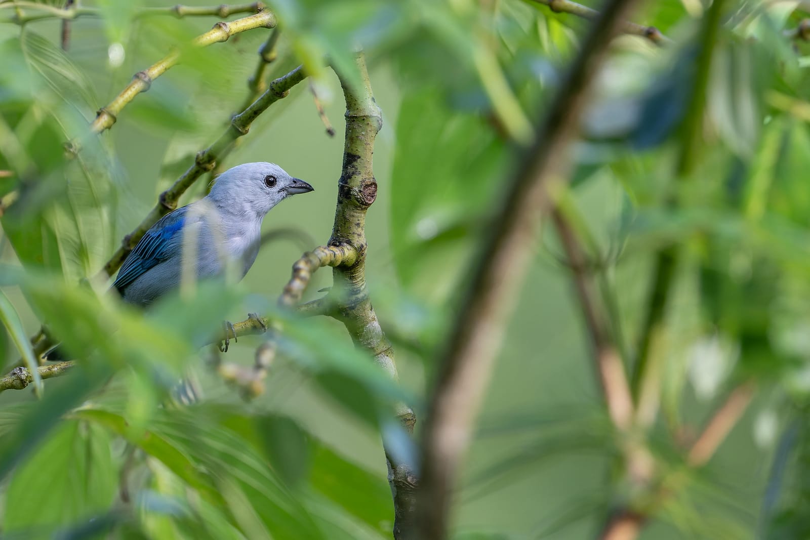 Photo from “Costa Rica - June”