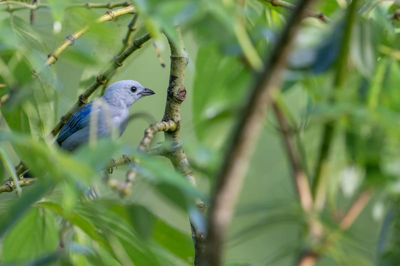 Photo from “Costa Rica - June”