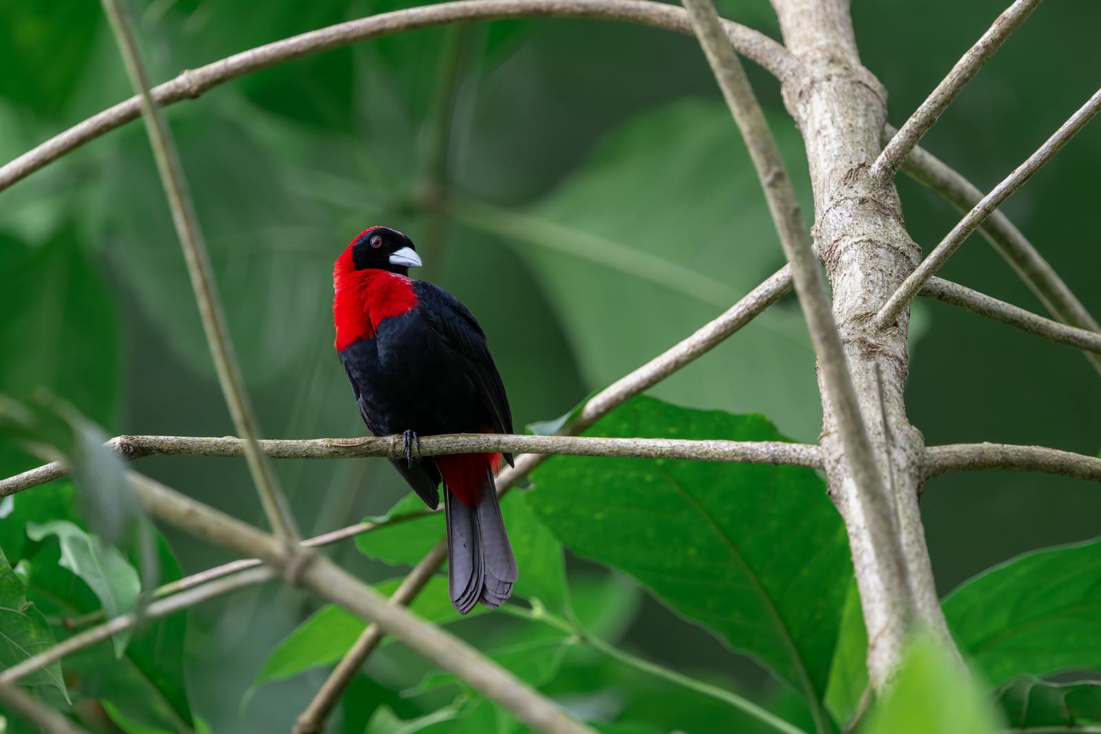 Photo from “Costa Rica - June”