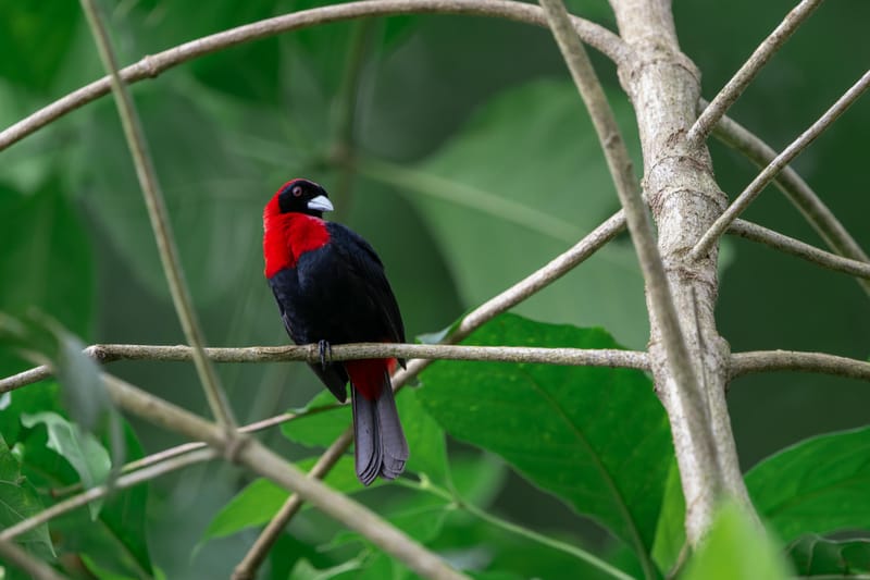 Photo from “Costa Rica - June”