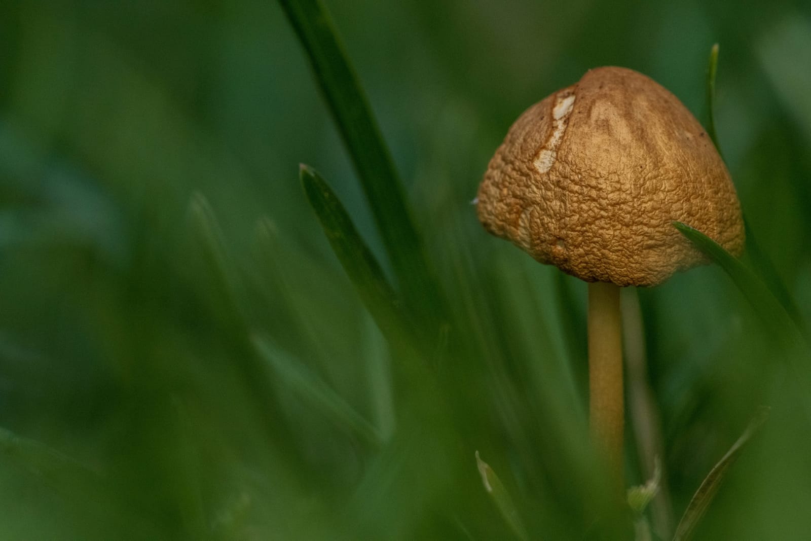 Photo from “Garden”