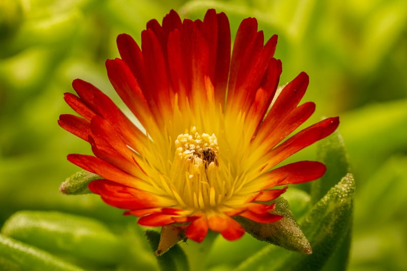 Photo from “Garden”