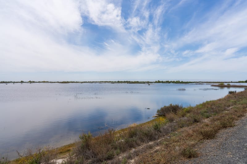 Photo from “Kern NWR”