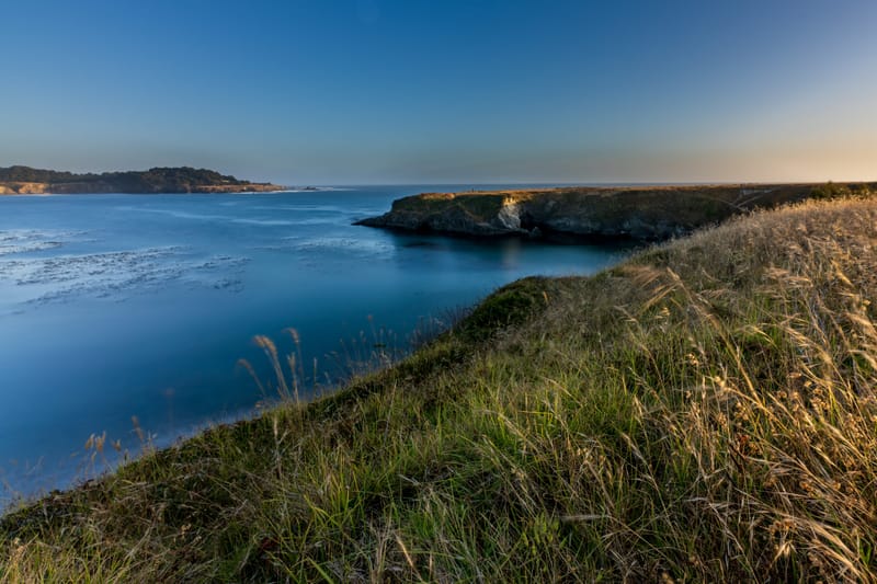 Photo from “Landscape”