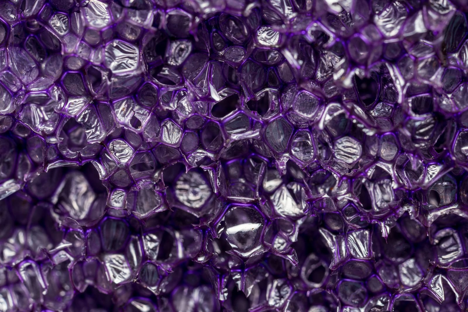 Photo from “Macro”