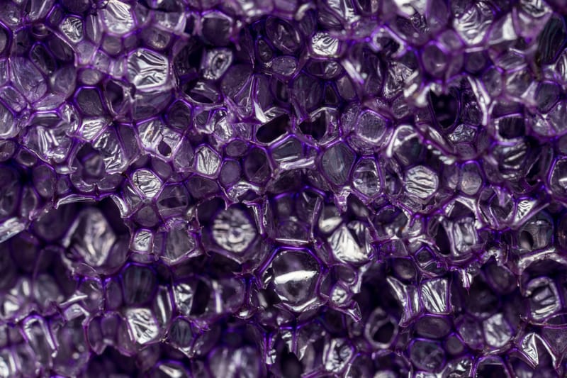 Photo from “Macro”