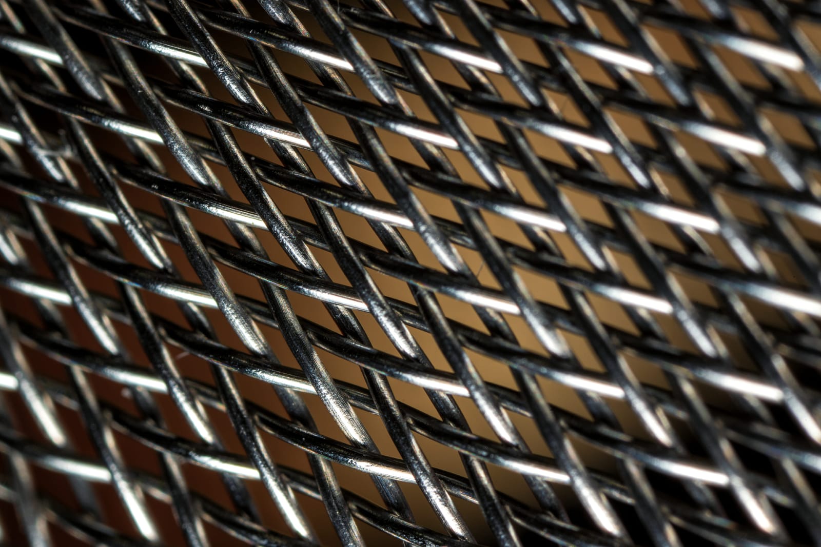 Photo from “Macro”