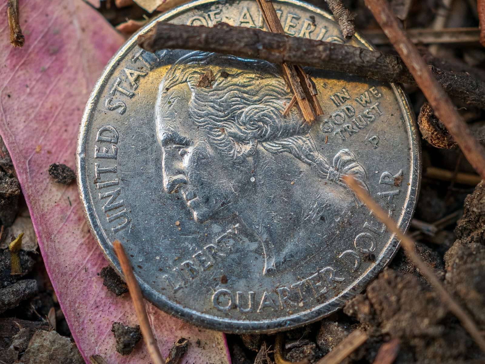 Photo from “Macro”