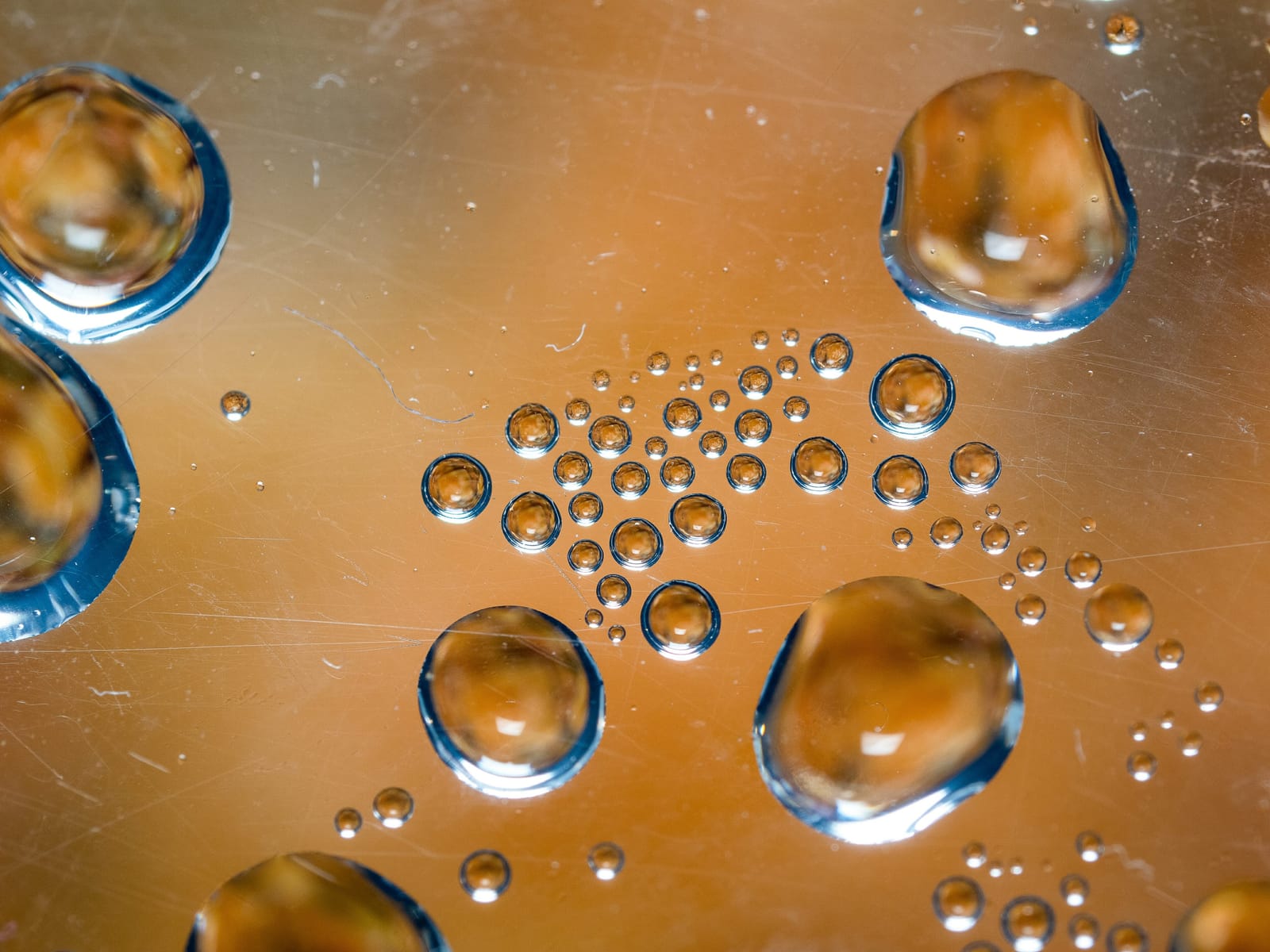 Photo from “Macro”
