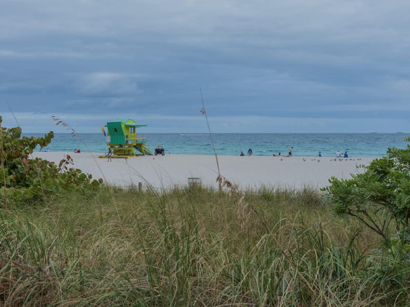 Photo from “Miami Beach”