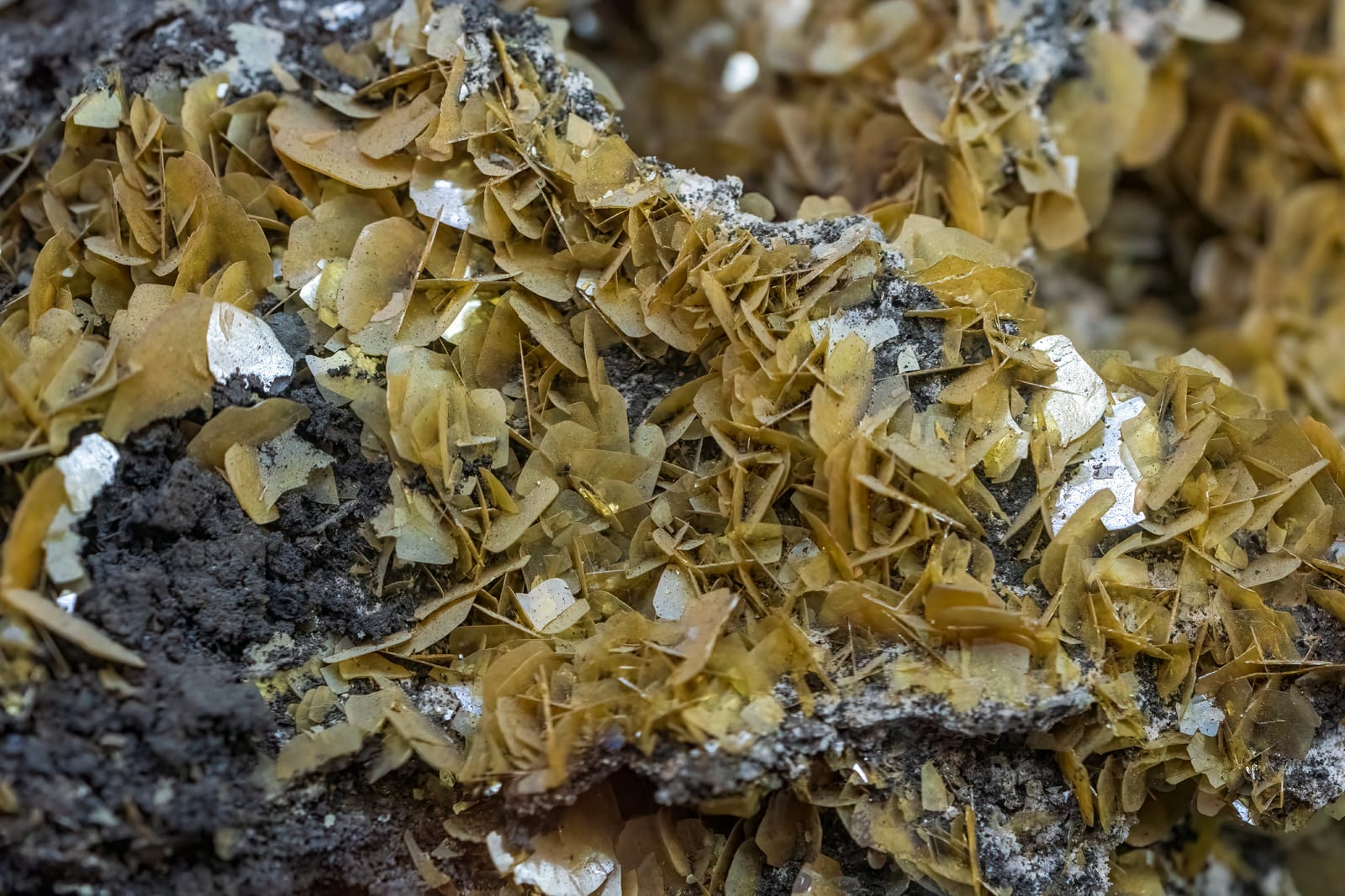 Photo from “Minerals”