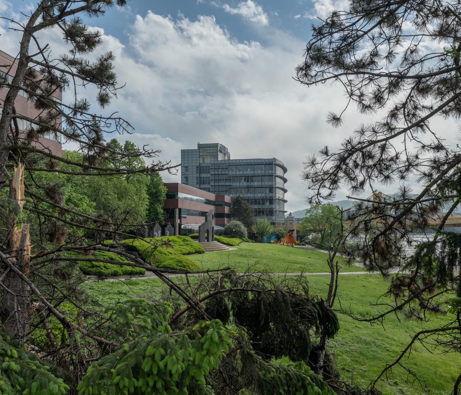 Glass office tower and red-brick buildings beyond a green lawn, framed by pine branches.