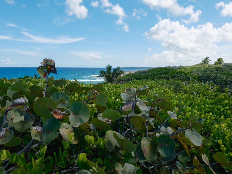 Photo from “Puerto Rico”