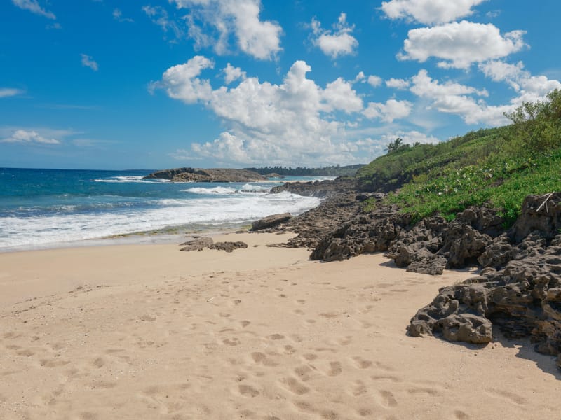 Photo from “Puerto Rico”