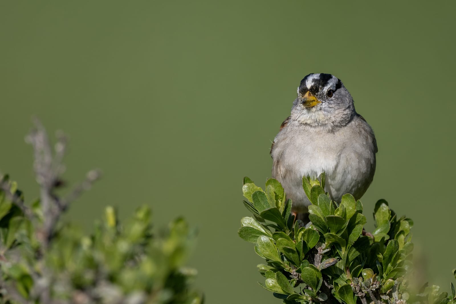 Photo from “Sparrows”