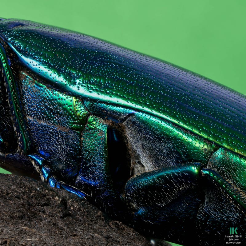 Photo from “Stacked macro”