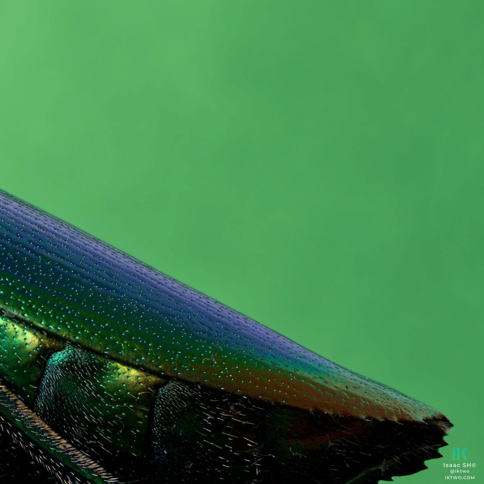 Photo from “Stacked macro”
