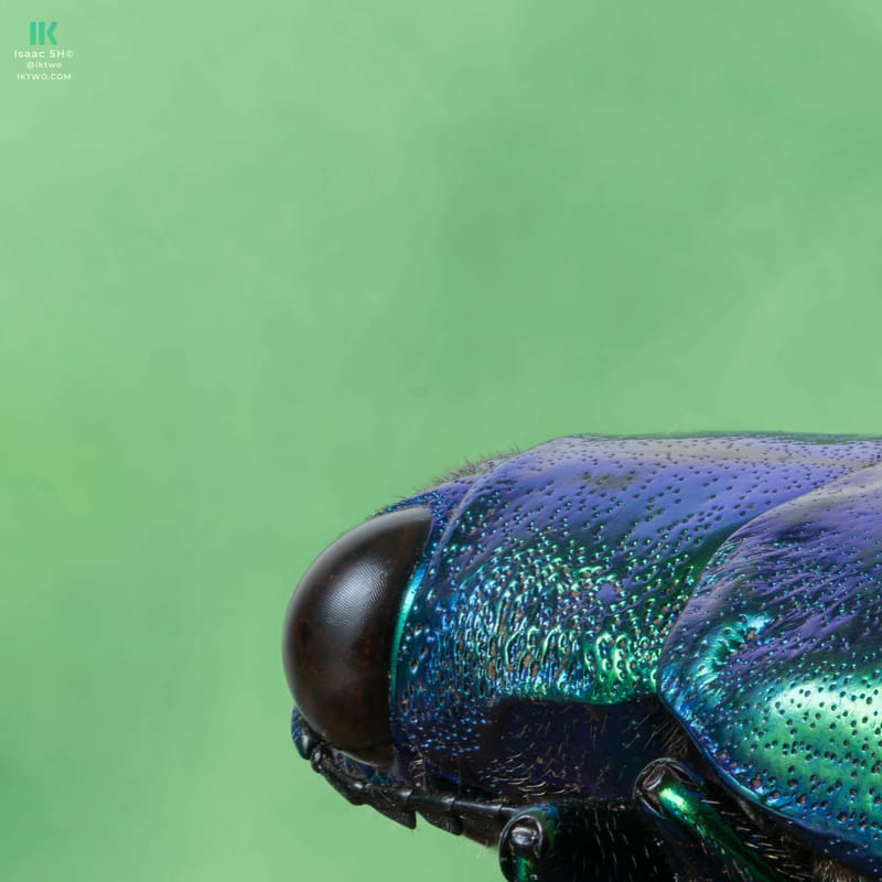 Photo from “Stacked macro”