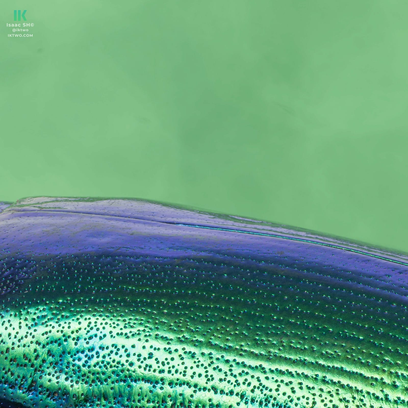 Photo from “Stacked macro”