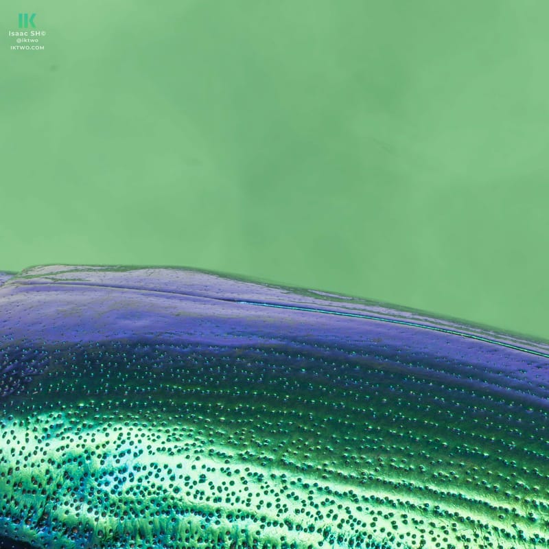 Photo from “Stacked macro”