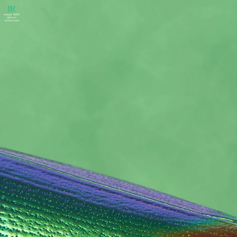Photo from “Stacked macro”