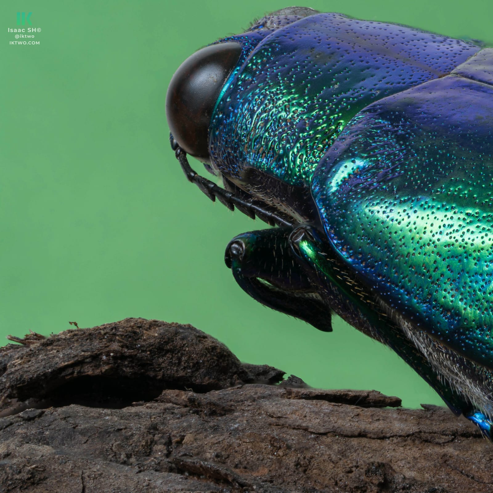 Photo from “Stacked macro”