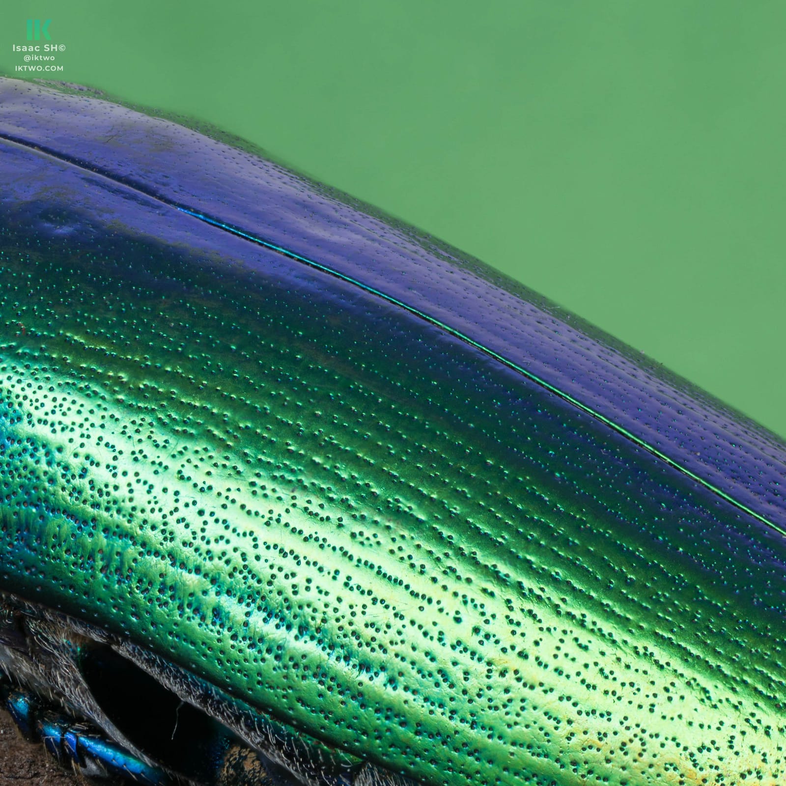 Photo from “Stacked macro”