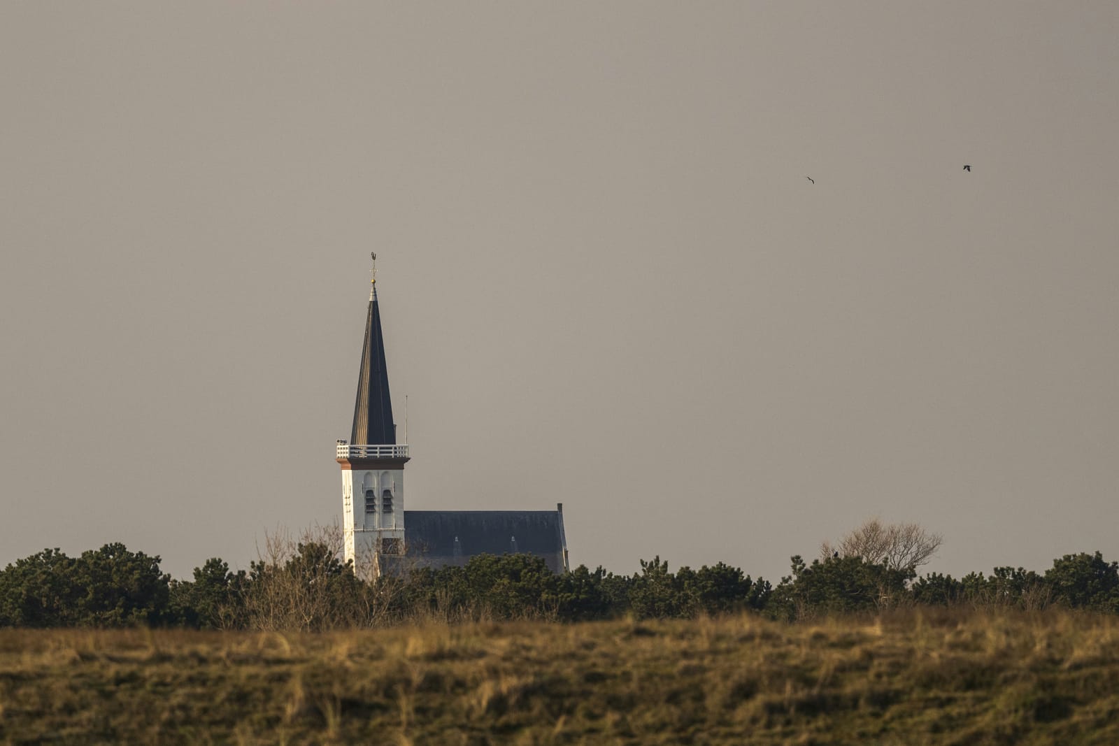 Photo from “Texel”