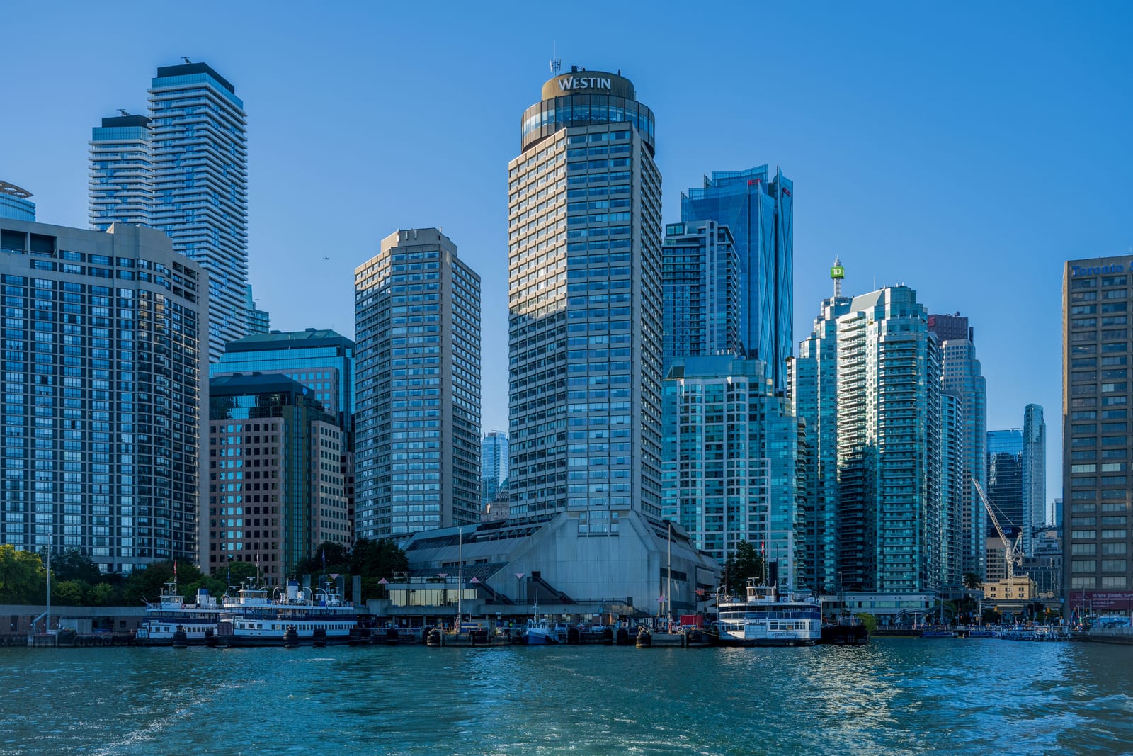 Photo from “Toronto”