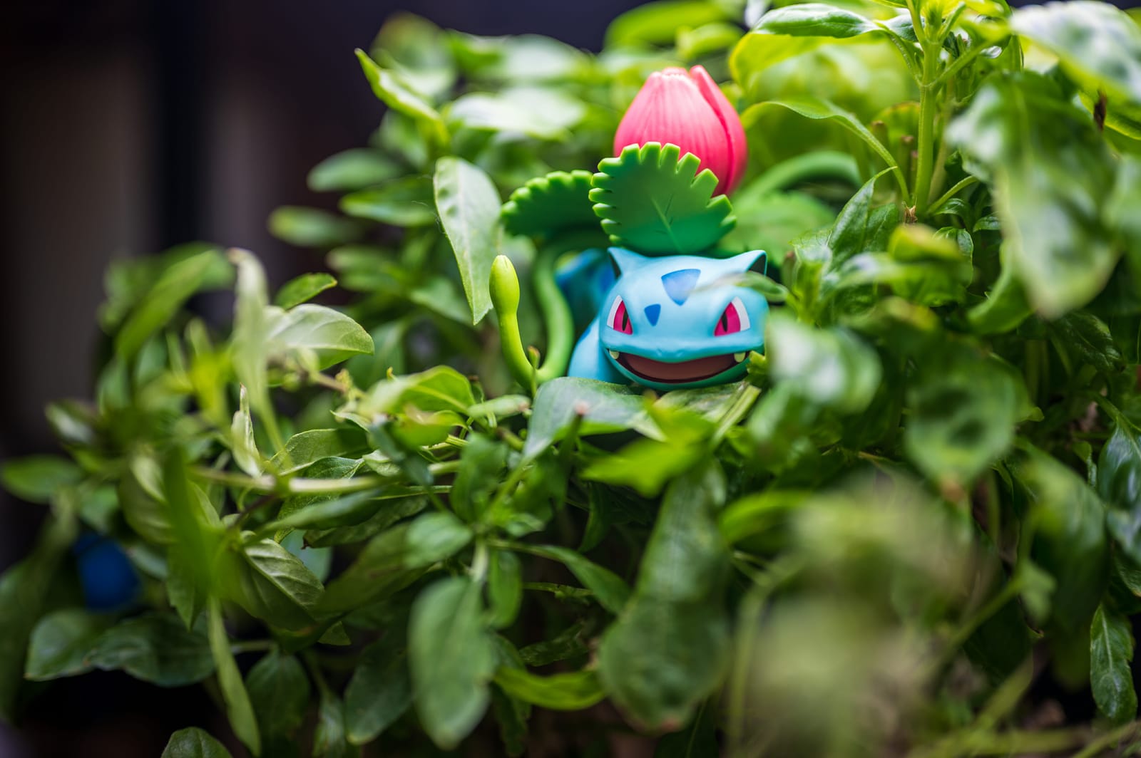 Photo from “Toys”