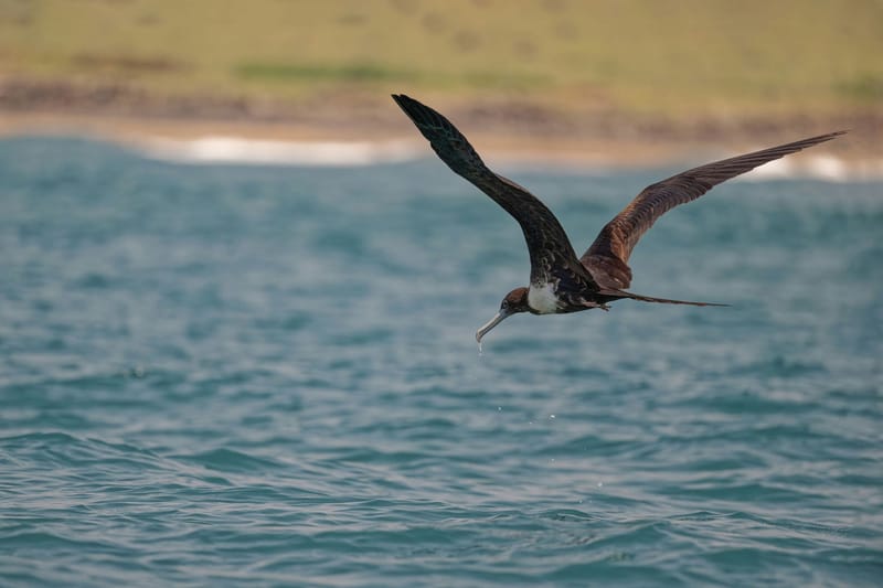 Photo from “Veracruz”