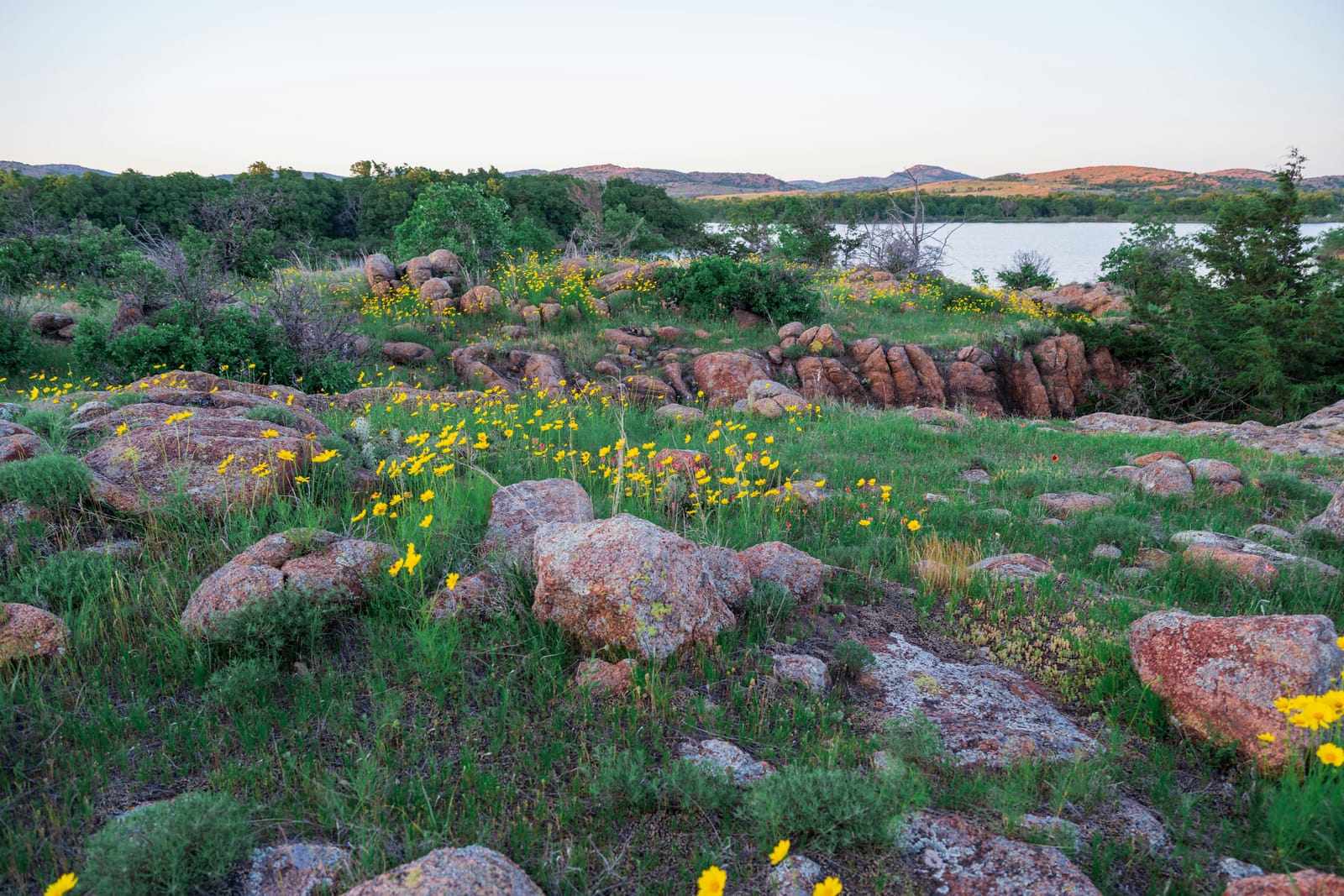 Photo from “Wichita Mountains WR - Abril”